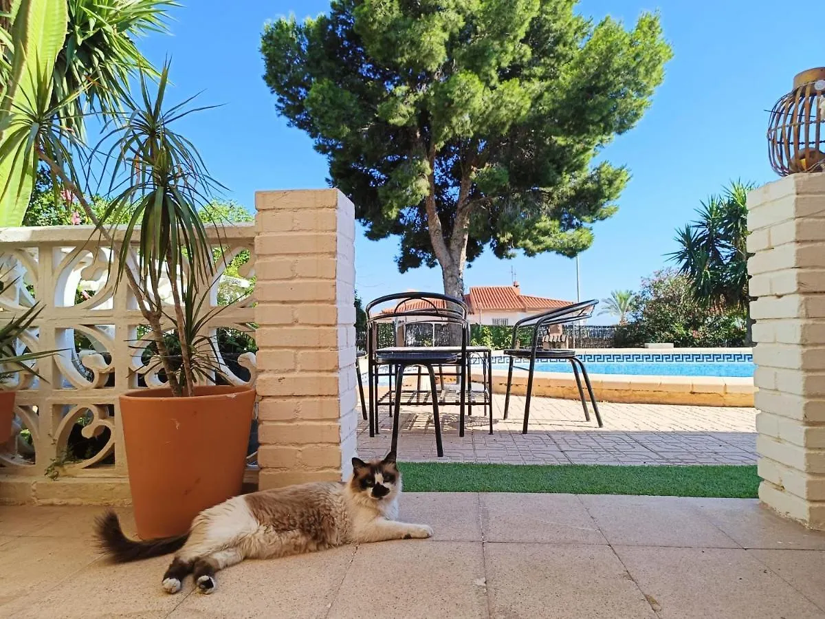 民宿 Villacats: Habitacion Con Bano Privado Y Piscina 阿瓜杜尔塞 西班牙