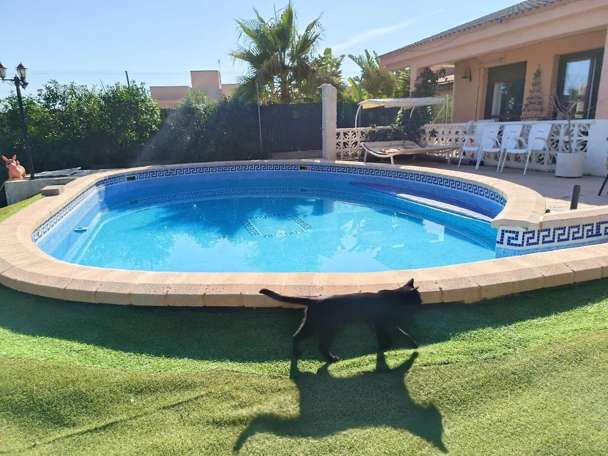 Villacats: Habitacion Con Bano Privado Y Piscina Aguadulce  Homestay Aguadulce (Almeria)