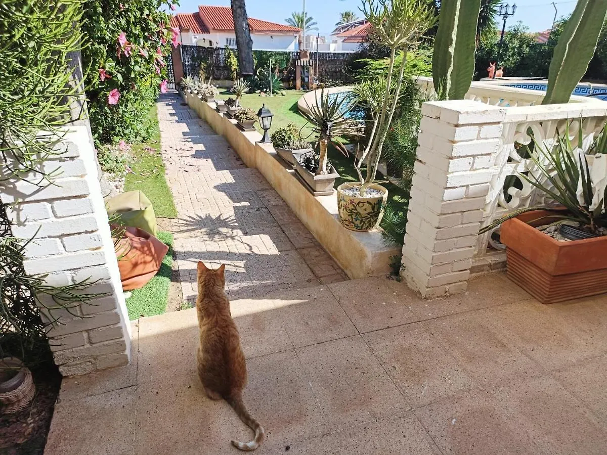 Villacats: Habitacion Con Bano Privado Y Piscina Aguadulce  0*, Aguadulce (Almeria) Spain